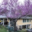 Red Bud Manor