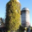 Saratoga Farmstead B&B