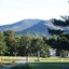 Carlson's Lodge