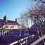 The Dove Inn