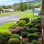 Seaview Motel And Apartments
