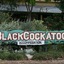 The Black Cockatoo Nannup