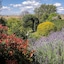 Strathearn Park Lodge