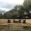 Amande Bed And Breakfast