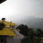 Te Aroha Dhanachuli