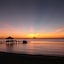 Pulchra - Philippines