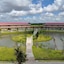 Golden Peacock Resort Hotel