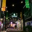 Willis Village