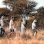 Gabus Game Ranch