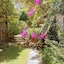 Casa Carmel Bed And Breakfast