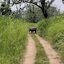 Wildlife Adventure Resort