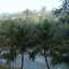 Mahogany Hall Boutique Resort