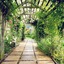 Marchmont Gardens