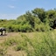Motswiri Private Safari Lodge