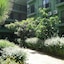 Blue Pine Hotel