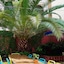 The Loft Hostel Barcelona