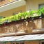 Residence Glicini