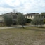 Bosco Ai Marzi