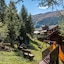 Park Chalet Village