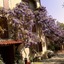 Country Hotel Le Querce