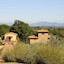 Agriturismo Poggio Alle Lame
