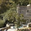 Aeolis Tinos Suites