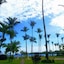 Hotel Punta Bonita
