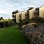 Shearwater Resort