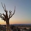 Tutwa Desert Lodge