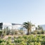 Kostantakis Winery