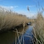 Be & See In Nature