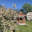 Eagle Wing Inn - Cape Cod