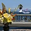 The Avalon Hotel On Catalina Island