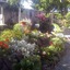 Secret Garden Bed & Breakfast
