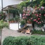 Landhotel Elfenhof