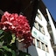 Hotel Alpensonne