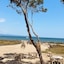 Le Domaine De La Mer