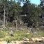 Murphy's Creek Hideaway