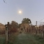 Vineyard Cottages
