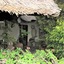 Parrot Lodge