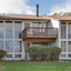 Stony Court At Bryce Mountain