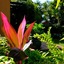 Santa Lucia Guest House