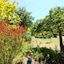 Eden Bed & Breakfast