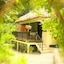 Table Rock Jungle Lodge