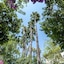 Riverside Garden Resort