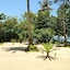 El Nido Mahogany Beach