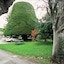 Bucket Tree Lodge