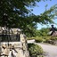 Suwako-No Mori Shikitei