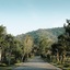 Canary Natural Resort