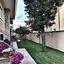 Suite Room Fiumicino
